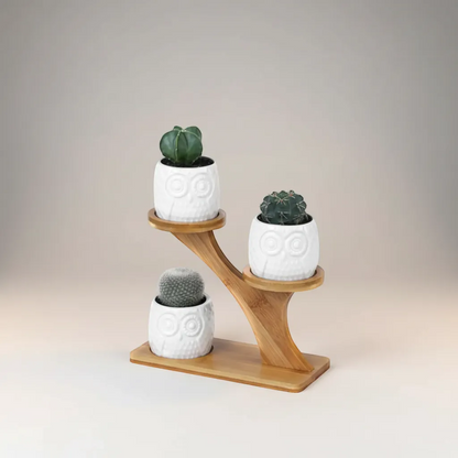 Tiered Bamboo Succulent Shelf with Ceramic Pots Indoor Desktop Planter Set | IREN Interior-IREN Interior